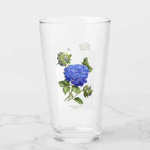 Hydrangea azul