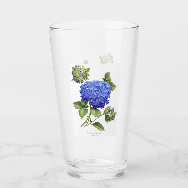 Hydrangea azul (Anverso)