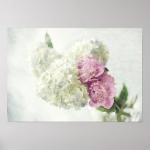 Hydrangea azul e impresión rosada del Peony