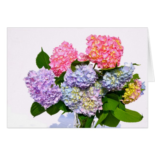 Hydrangea Bouquet (Anverso (Horizontal))