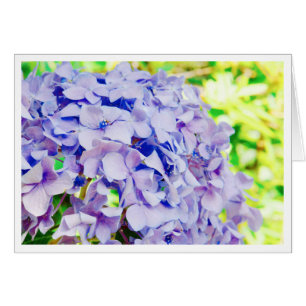 Hydrangea brillante del verano