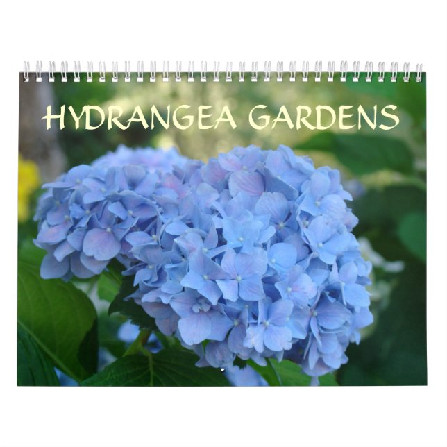HYDRANGEA GARDENS Calendario Hidrangeas azules (Tapa)