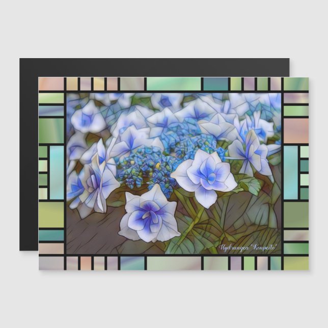 Hydrangea 'Konpeito' [Magnet Card] (Anverso/Reverso)