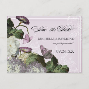 Hydrangea Morning Glory - Tarjeta Postal de Guarda
