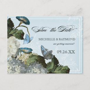 Hydrangea Morning Glory - Tarjeta Postal de Guarda