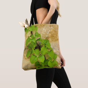Hydrangea petiolaris por toda la bolsa de impresió