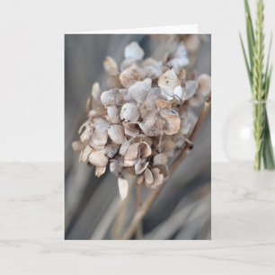 Hydrangea Seca Fotografía de Naturaleza Tarjeta