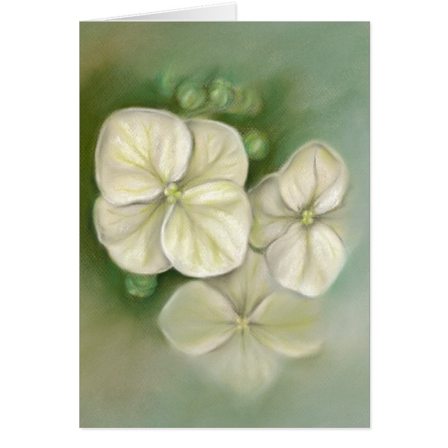 Hydrangea Summer Blossoms Pastel (Frente)