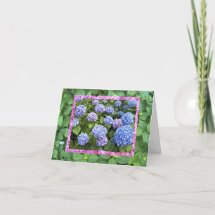 Hydrangea! tarjeta de nota