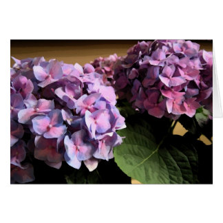 Hydrangeas