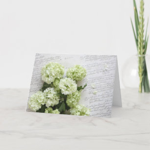hydrangeas blancos con la tarjeta de felicitación