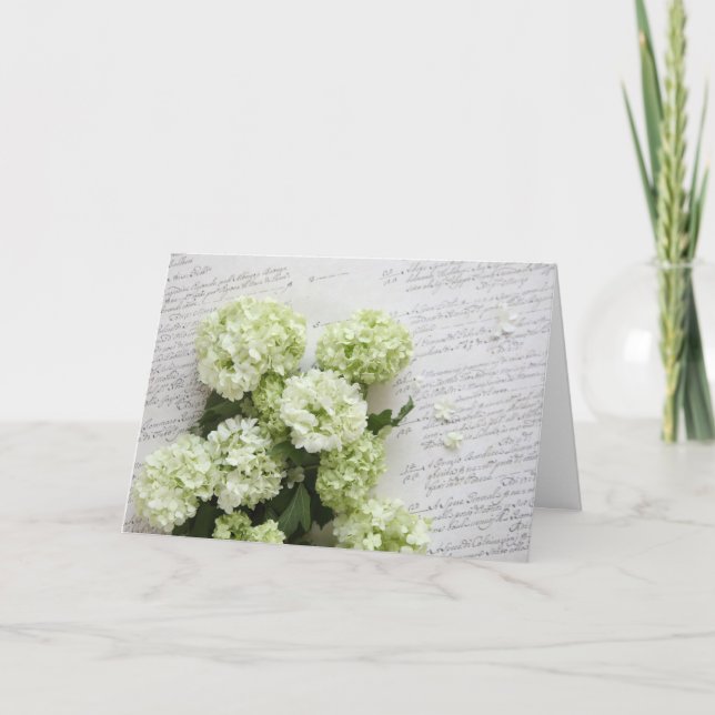 hydrangeas blancos con la tarjeta de felicitación (Anverso)