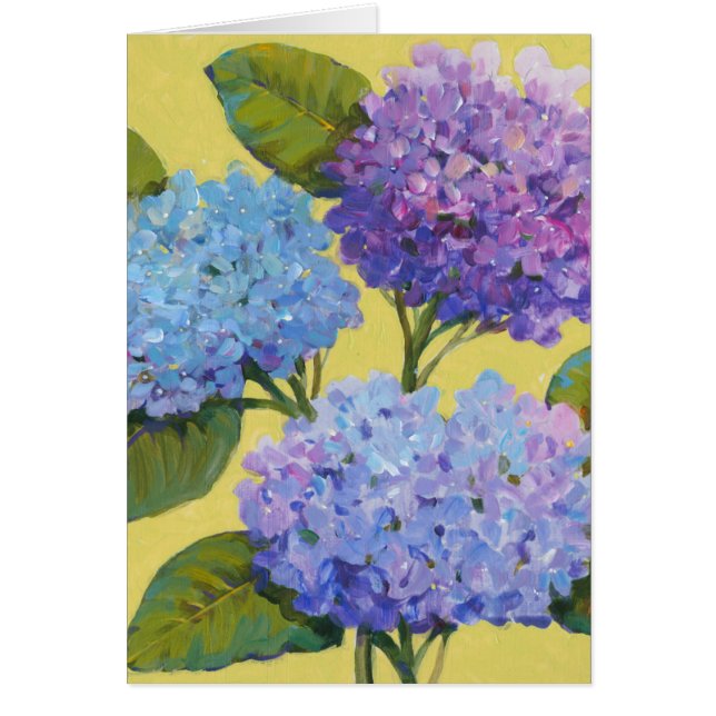 Hydrangeas de primavera (Frente)