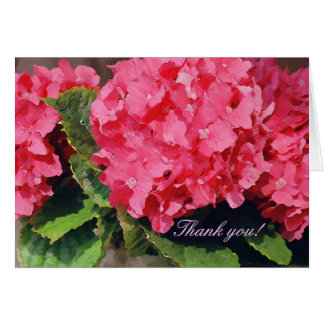 Hydrangeas rosa