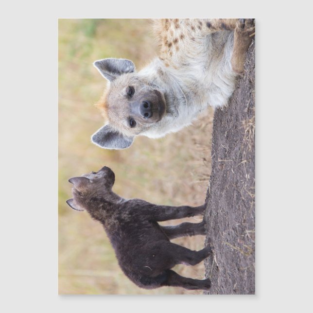 Hyena con una joven (Anverso)