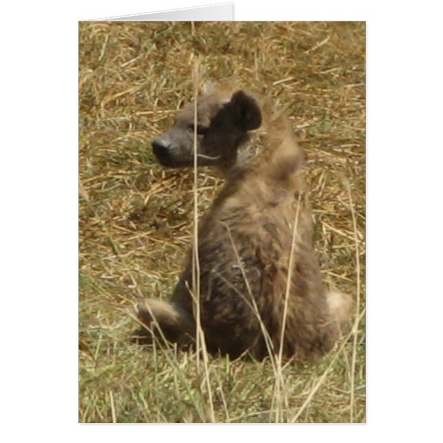 Hyena Pup (Frente)