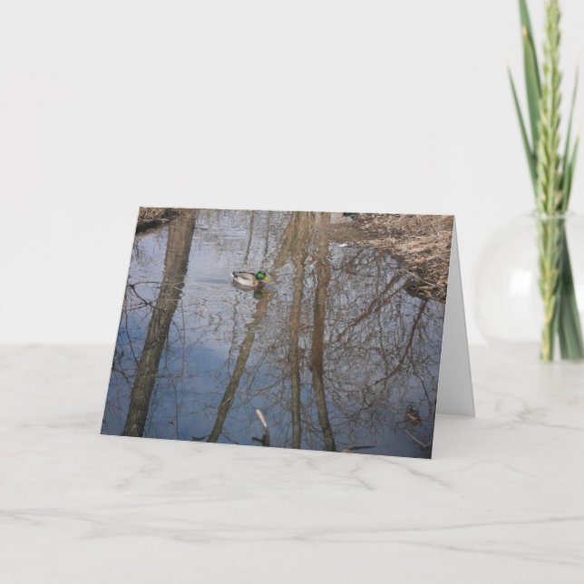 "Hyland Lake Mallard #1" Tarjeta de agradecimiento (Anverso)