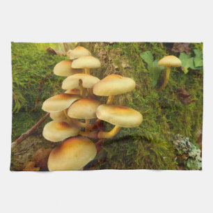 Hypholoma fasciculare Mushroom Tea Toalla