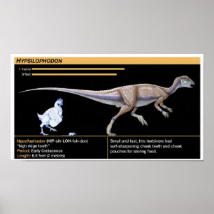 Hypsilophodon - Póster de Biología de Dinosaurio J