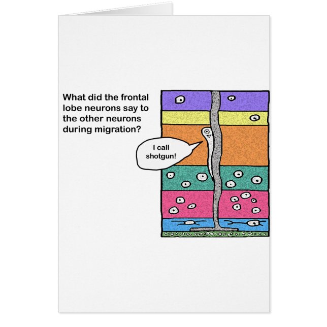 i_call_shotgun (Frente)