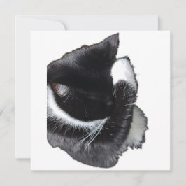 I Can't Even Right Meow