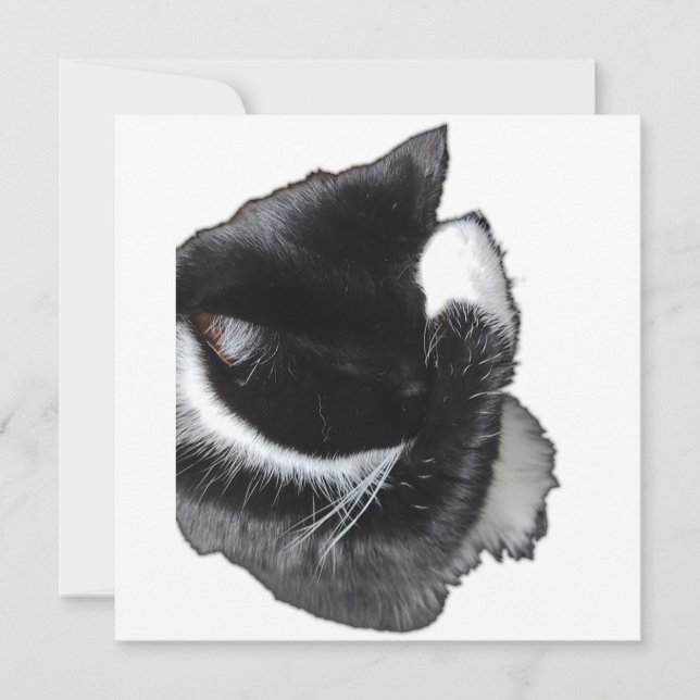 I Can't Even Right Meow (Anverso)