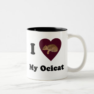I corazón mi taza de Ocicat