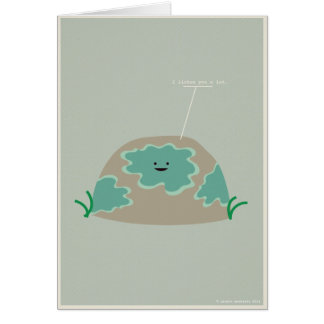 I liquen usted mucho