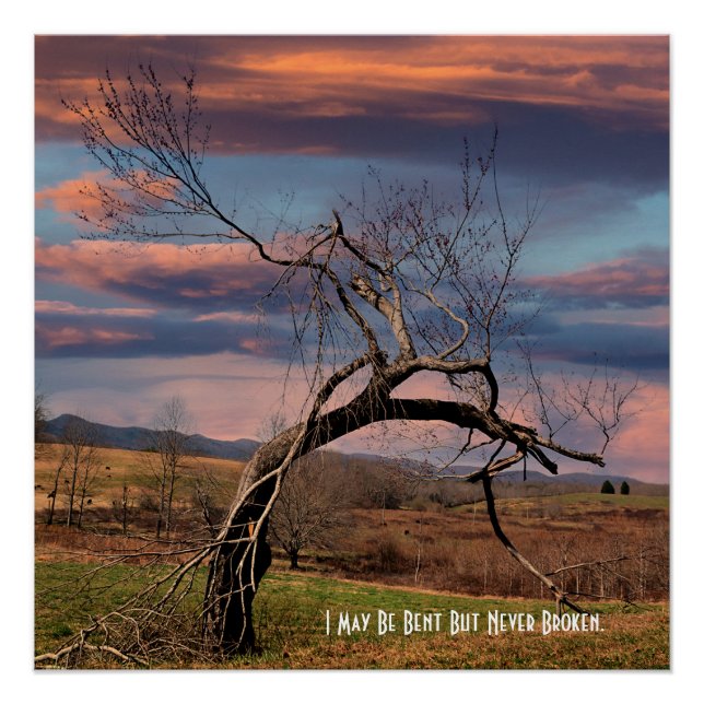 I May Be Bent But Never Broken  Poster (Anverso)
