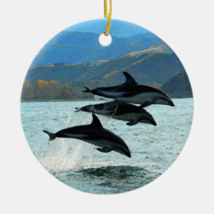 I ornamento del navidad de Delfini
