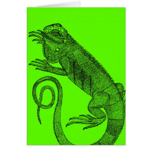 I Wanna Iguana