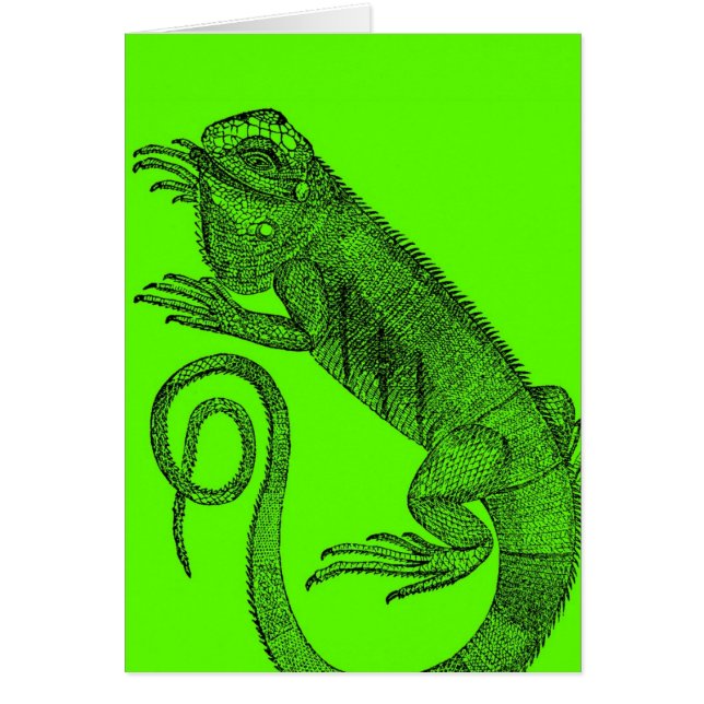 I Wanna Iguana (Frente)