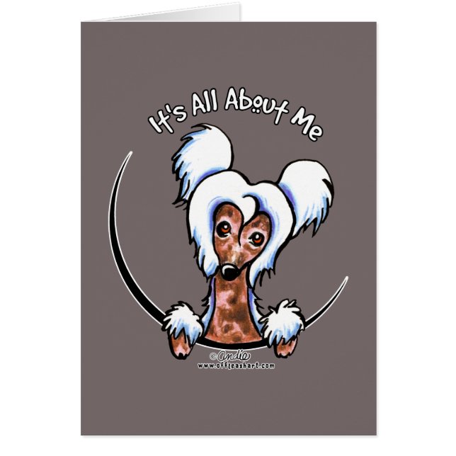 IAAM en chino (Frente)