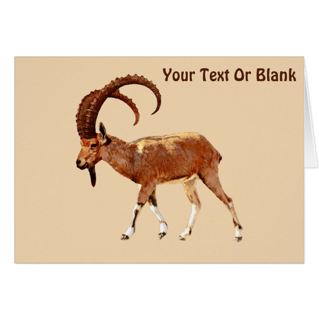 Ibex nubio - Ein Gedi (Anverso (Horizontal))