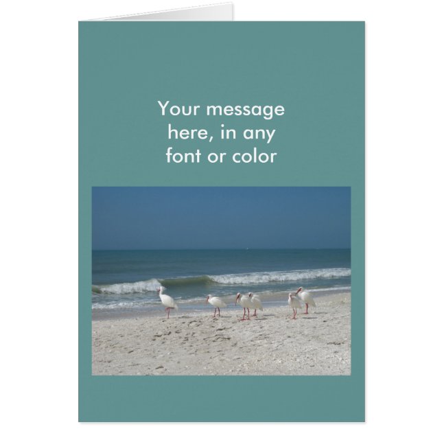 Ibis de playa (Frente)