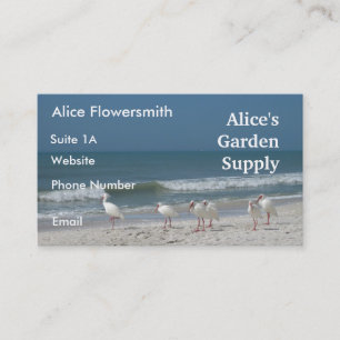 Ibis de playa - Tarjeta de visita