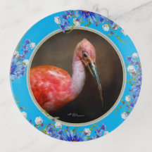 Ibis escarlata