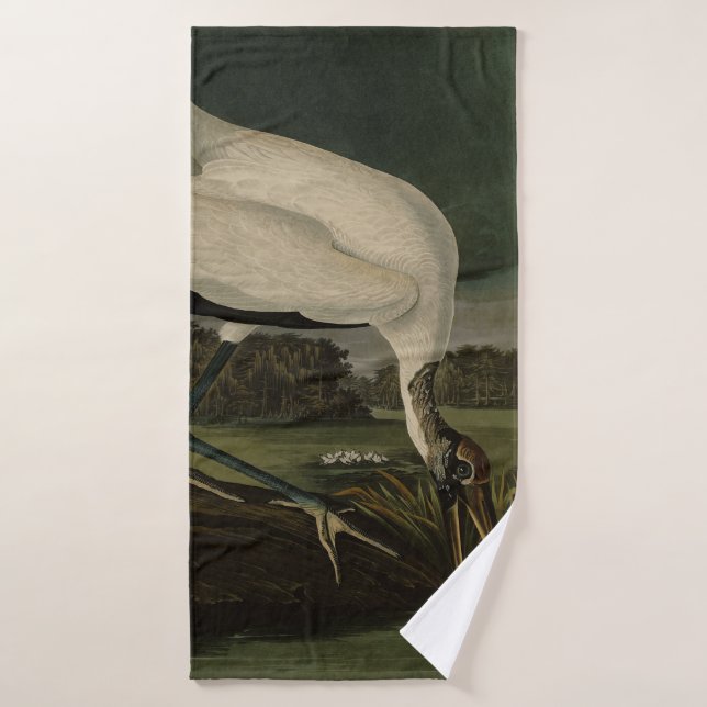 Ibis, Stork: Aves Audubon de América (Toalla de baño)
