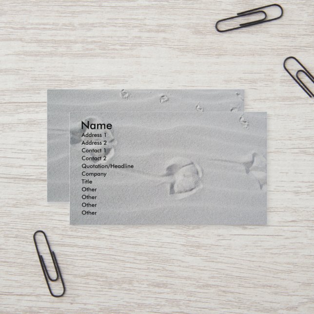 IBSP Seagull Rastrea tarjetas de negocios (Anverso/Reverso In Situ)