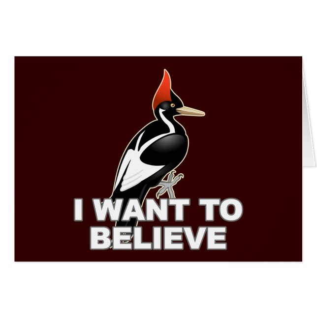 IBWO: Quiero creer (Anverso (Horizontal))