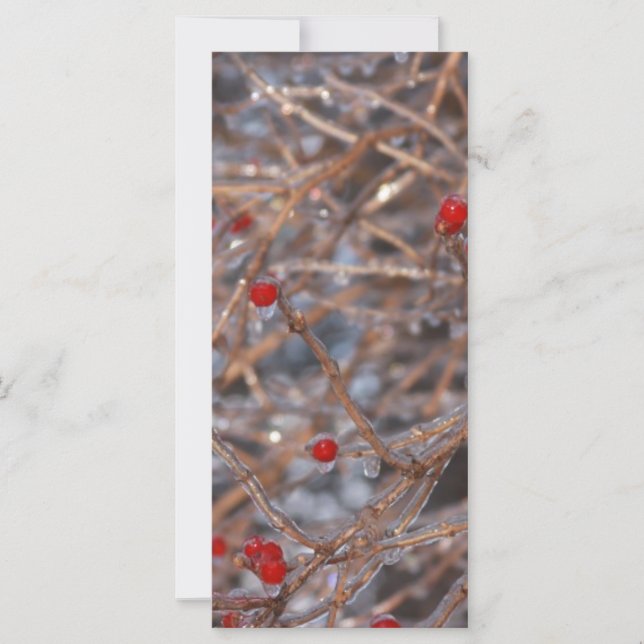 Ice Berries (Anverso)