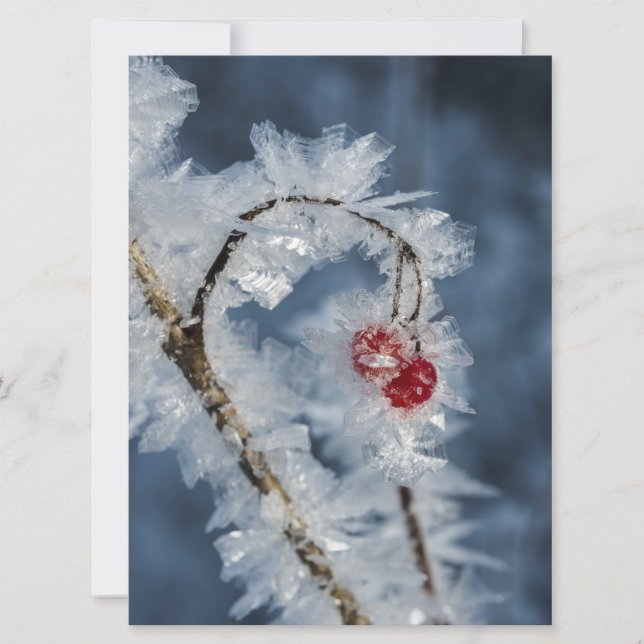 Ice Berries (Anverso)