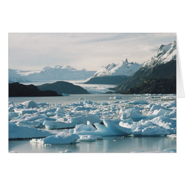 Icebergs glaciales (Anverso (Horizontal))