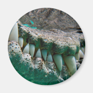 Icono australiano - Croc grande Terry 2 - imán