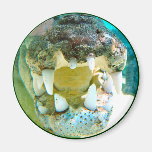 Icono australiano - Croc grande Terry - imán