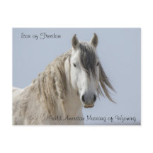 Icono de la libertad - postal