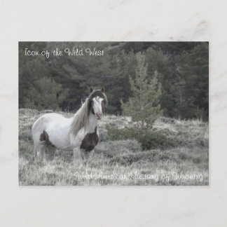 Icono del salvaje oeste - postal