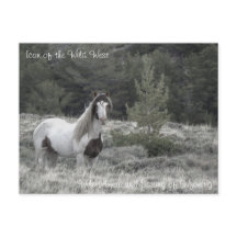 Icono del salvaje oeste - postal