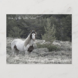 Icono del salvaje oeste - postal