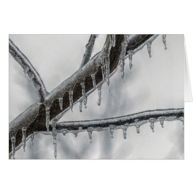 Icy Branch (Anverso (Horizontal))
